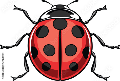 Photorealistic ladybug with glossy shell and detailed legs on white background in hyper detailed vector art style