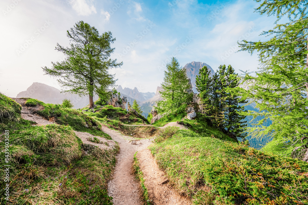 Obraz premium Majestic landscape of Alpine Cinque Torri in background Passo Falzarego, Tofana. Hiking nature scenery in Dolomite, Italy near Cortina d'Ampezzo