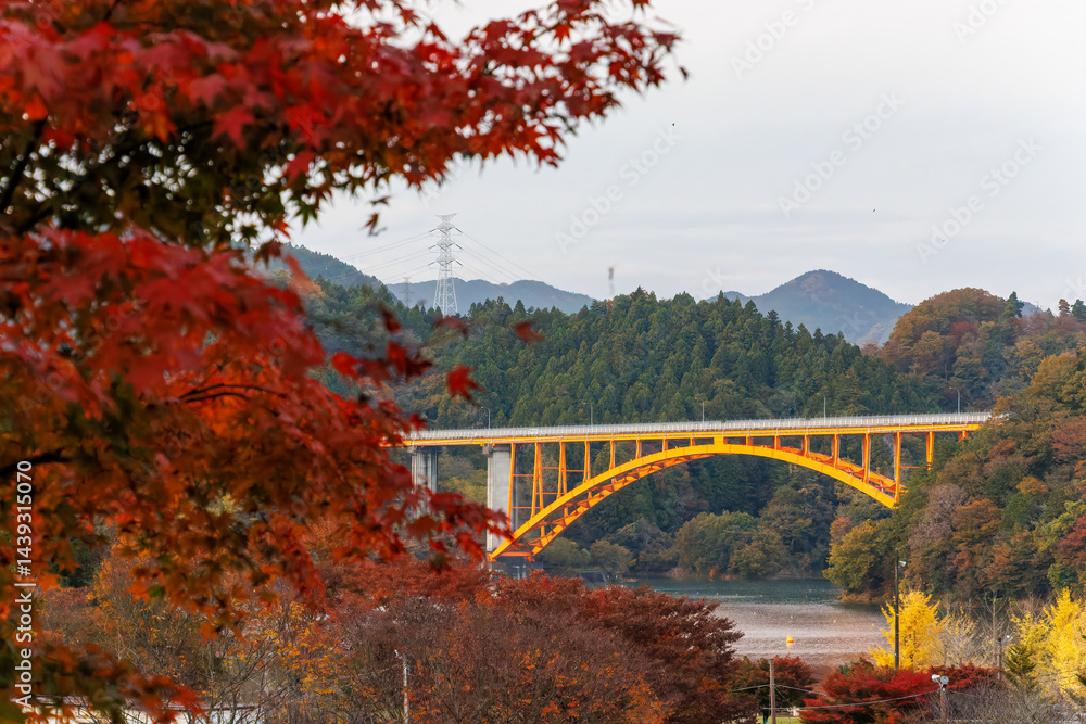 美しい宮ヶ瀬湖と鉄橋
紅葉に彩られた美しい宮ヶ瀬湖。
神奈川県清川村、早戸川林道-2025年