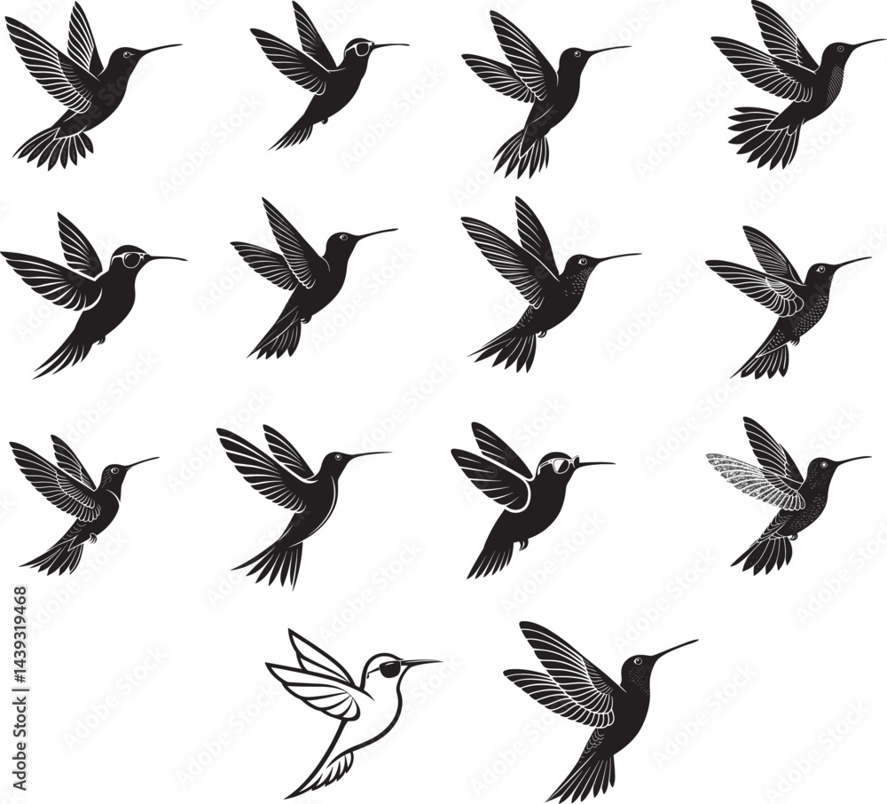 Obraz premium Hummingbirds vector