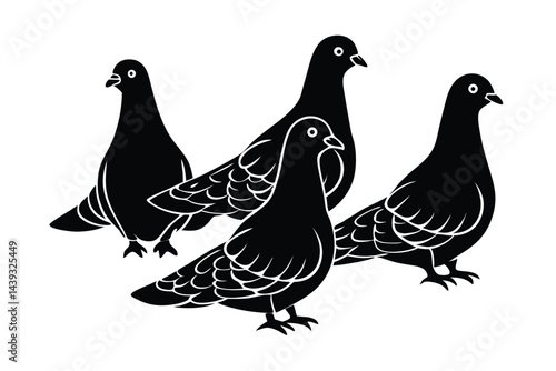 vector four pigeons on a white background