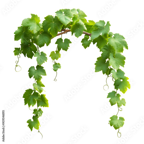 Wallpaper Mural Macro view of vibrant green plant sprigs Torontodigital.ca