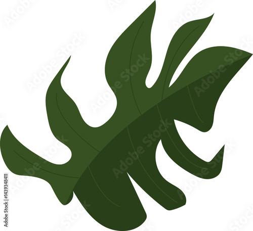Monstera deliciosa leaf vector 