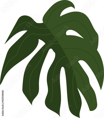 Monstera deliciosa leaf vector 