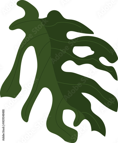 Monstera deliciosa leaf vector 