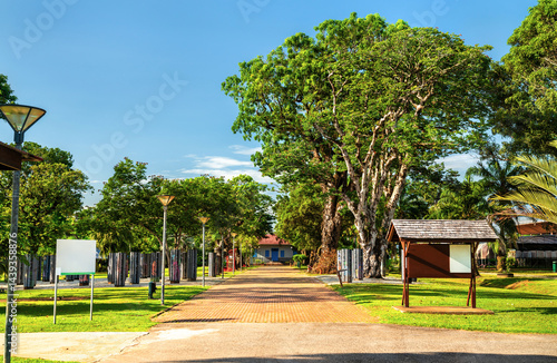 Obraz na płótnie Botanical garden in Cayenne, capital of French Guiana w salonie