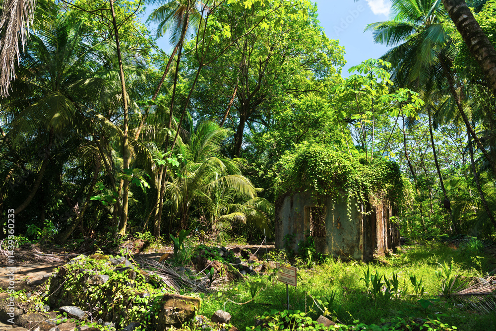 Remains of notorious penal colony in Saint Joseph Island, Salvation Islands, French Guiana