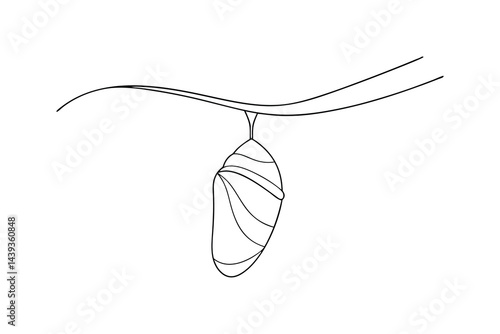 Simple line art drawing of a butterfly chrysalis hanging from a twig depicts metamorphosis