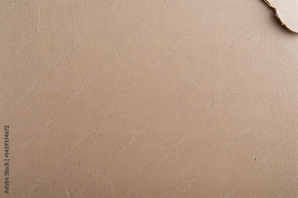 Brown Kraft paper, recycled paper texture background. Brown paper sheet