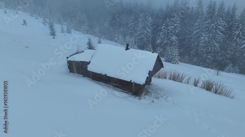 Wallpaper Mural An old hut in the forest during a blizzard Torontodigital.ca