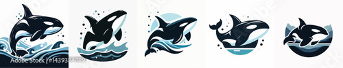 Vector of a killer whale (orca) silhouette.