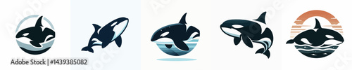 Vector of a killer whale (orca) silhouette.