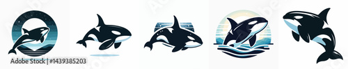 Vector of a killer whale (orca) silhouette.