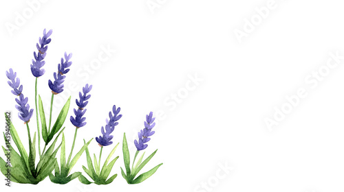Obraz na płótnie Watercolor lavender blossom border flowers, white background w salonie