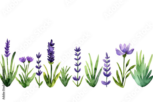 Obraz na płótnie Watercolor lavender blossom border flowers, white background w salonie