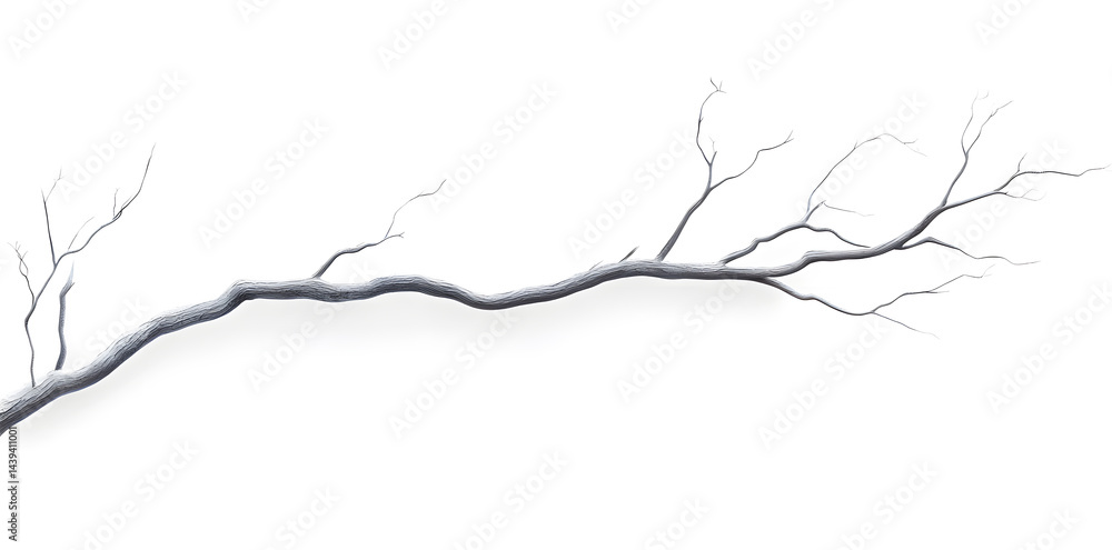 A bare, gnarled branch isolated on white background
