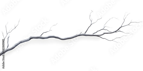Obraz na płótnie A bare, gnarled branch isolated on white background w salonie