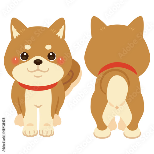 柴犬の前後イラストセット