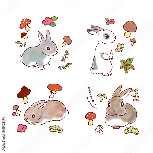 うさぎ　きのこ