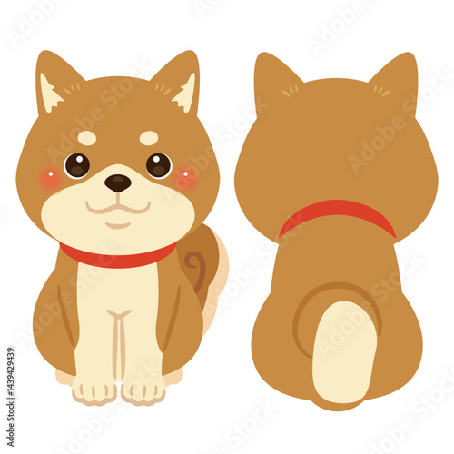 お座りした柴犬の前後イラストセット