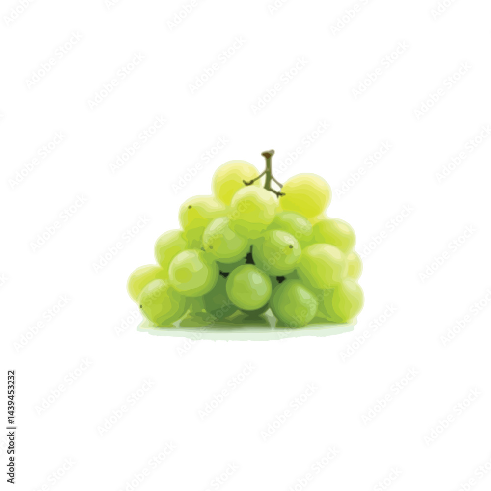 Fresh grape vector image in 3D Fresh grape vector image in 3D