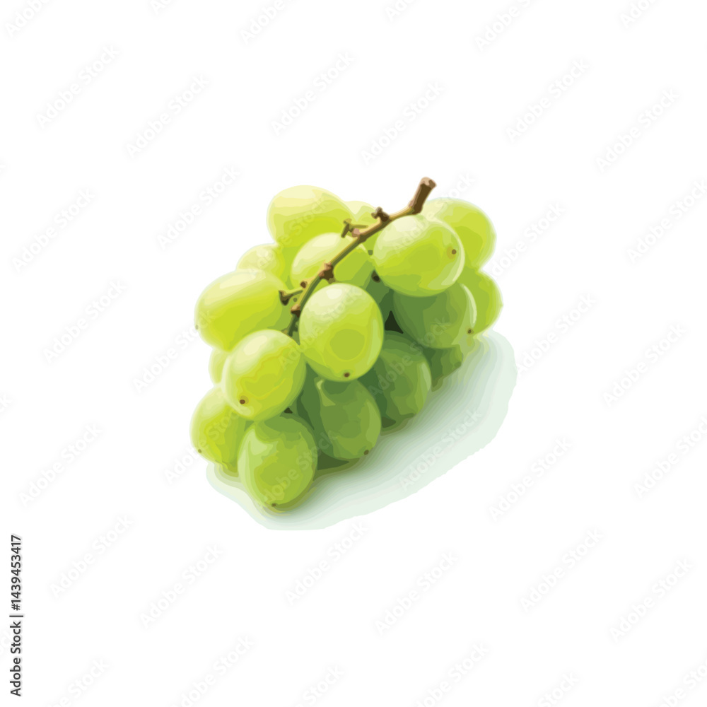 Fresh grape vector image in 3D Fresh grape vector image in 3D