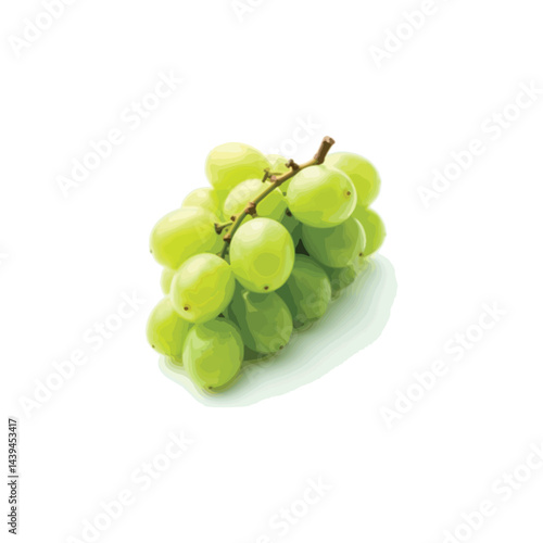 Fresh grape vector image in 3D