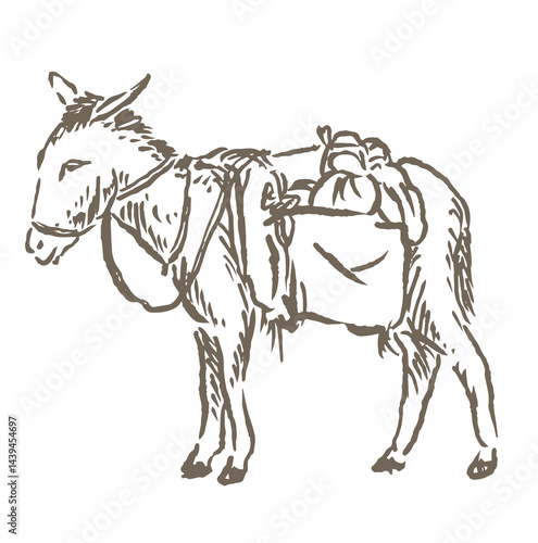 donkey vector sketch illustration carrying goods