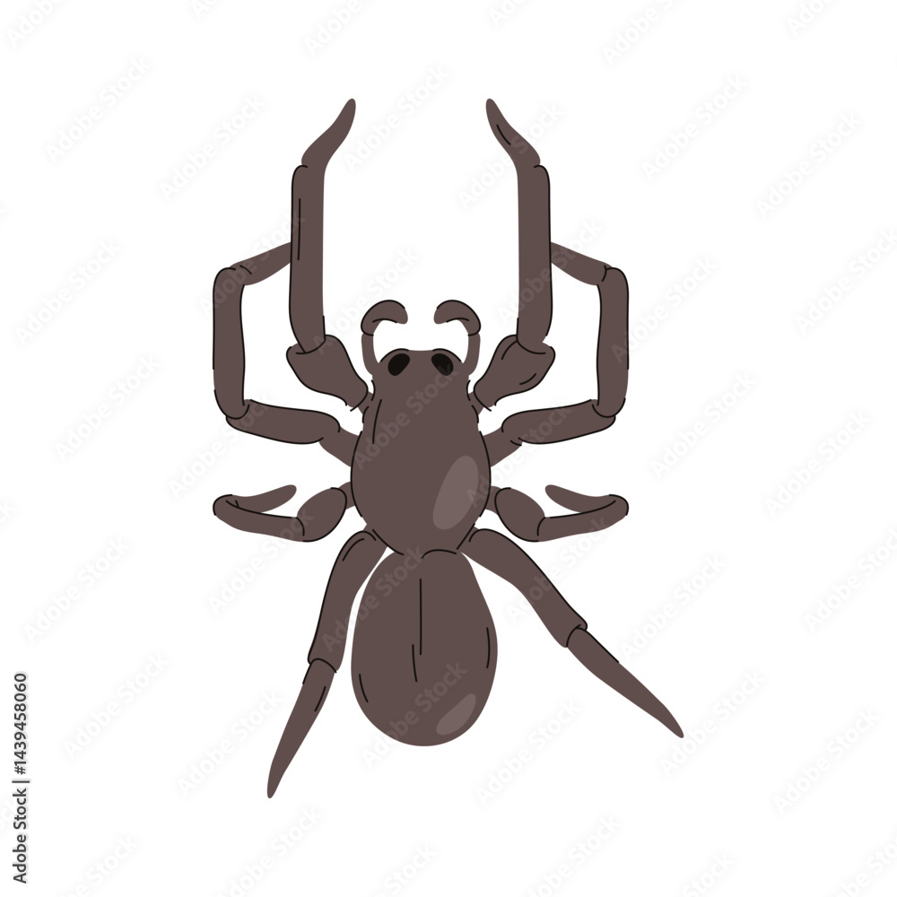 Vector spider icon or arachnid emblem. Danger or fear mascot sign. Insect or animal wildlife predator. Cartoon tarantula closeup. Wild nature and tropic habitat. Spidery fauna. Zoology and biology. Vector spider icon or arachnid emblem. Danger or fear mascot sign. Insect or animal wildlife predator. Cartoon tarantula closeup. Wild nature and tropic habitat. Spidery fauna. Zoology and biology.