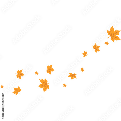 Maple Leaf Illustration