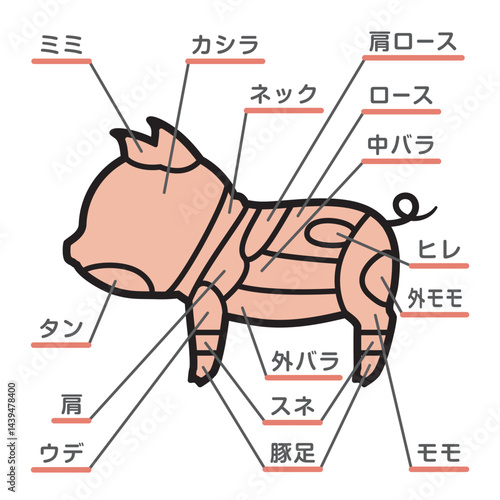 豚肉の部位のイラスト　文字あり