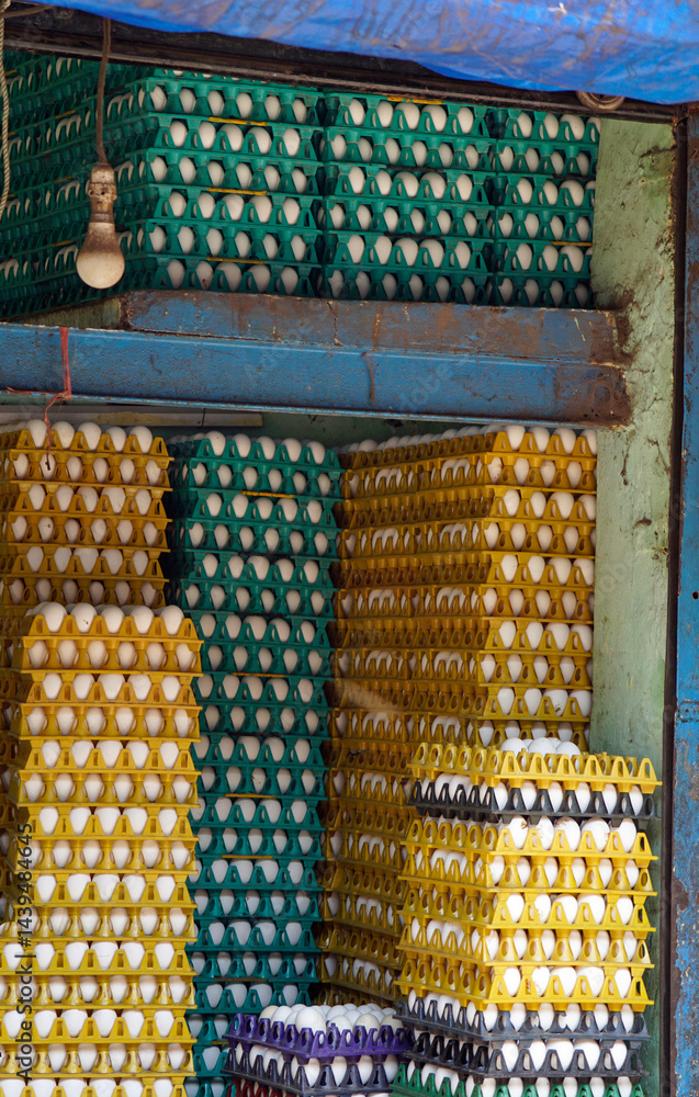 Chicken eggs on plastic trays in Mumbai