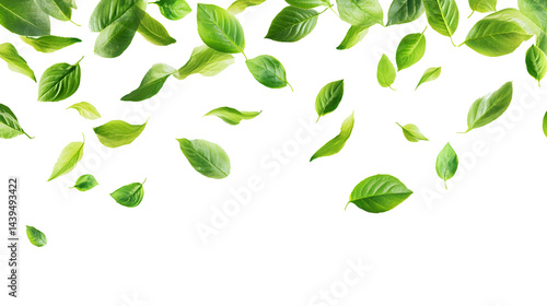 A white background with green leaves scattered all over it