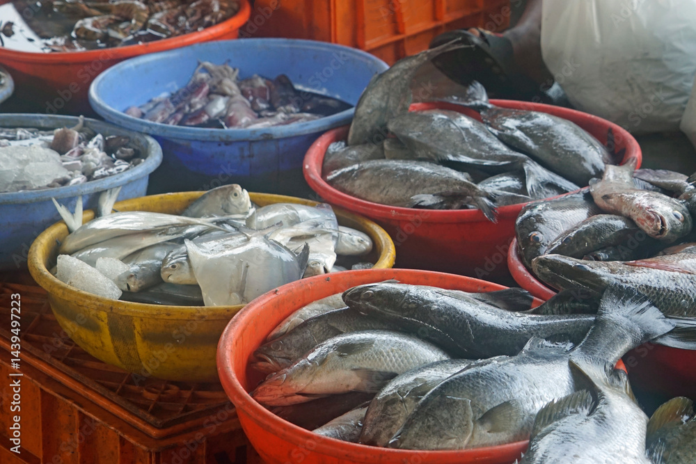 fish on a local market in mumbai