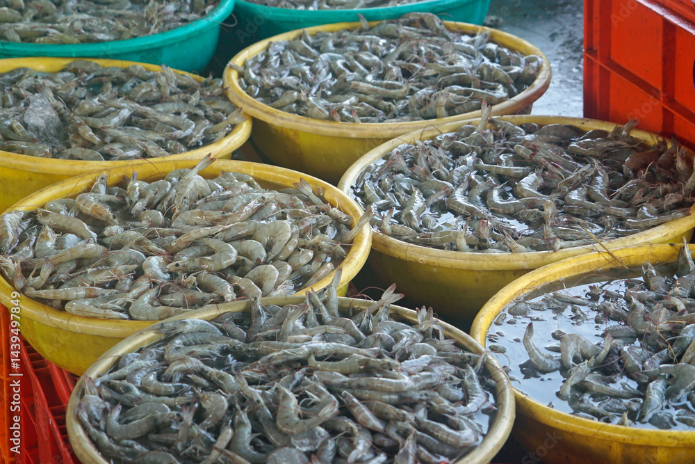 fish on a local market in mumbai