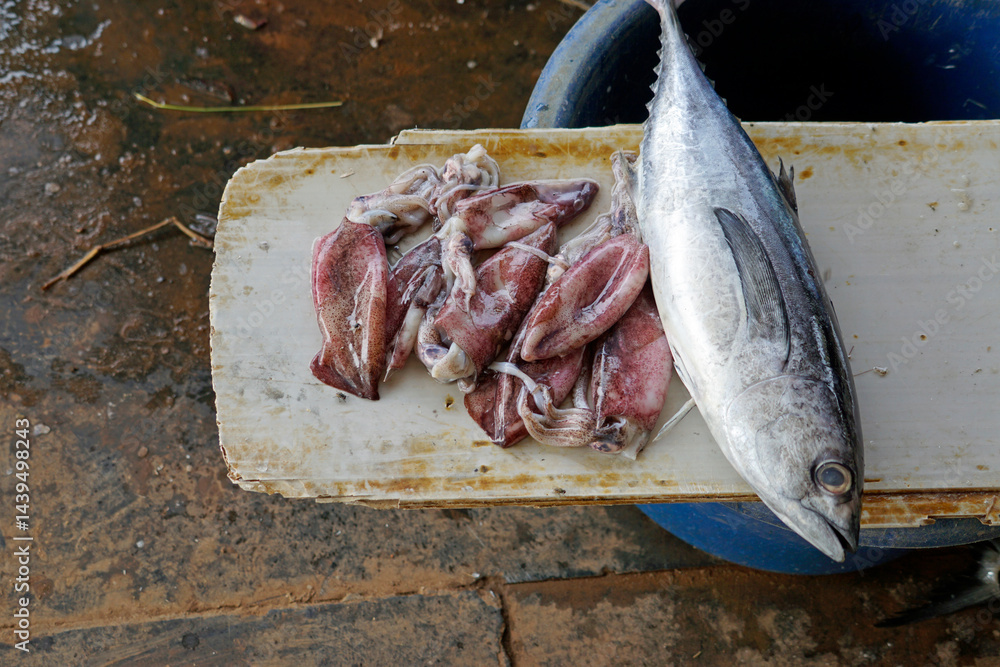 fish on a local market in mumbai