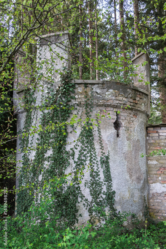 Alter verwitterter Wehrturm mit Efeu bewachsen, Bernried, Starnberger See, Bayern, Deutschland, Europa