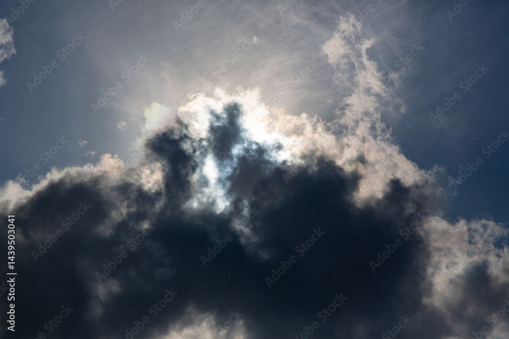 Obraz premium 奄美大島の自然。午後の風景。