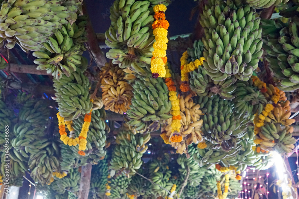 hindu banana festival in goa