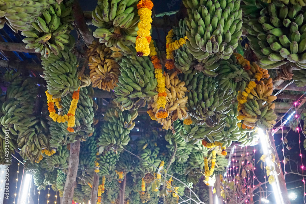 hindu banana festival in goa