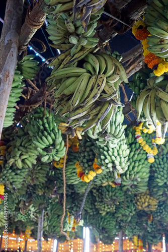 hindu banana festival in baga goa