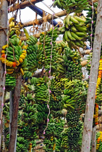 Obraz na płótnie hindu banana festival in baga goa w salonie
