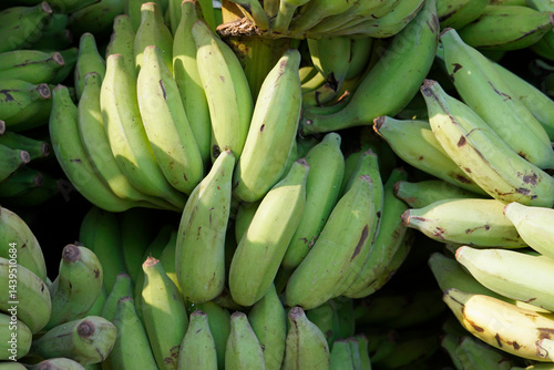 Obraz na płótnie hindu banana festival in baga goa w salonie