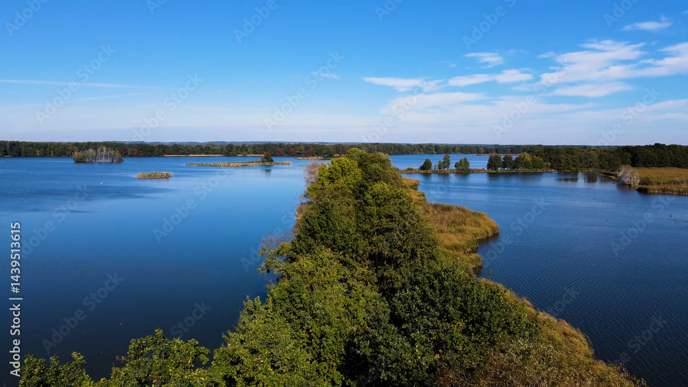 trees in water view from above lake