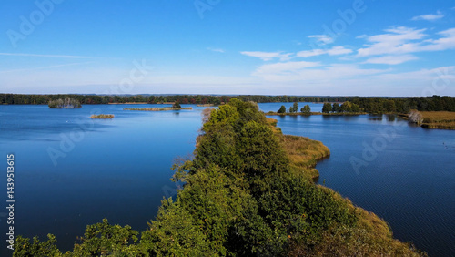 trees in water view from above lake