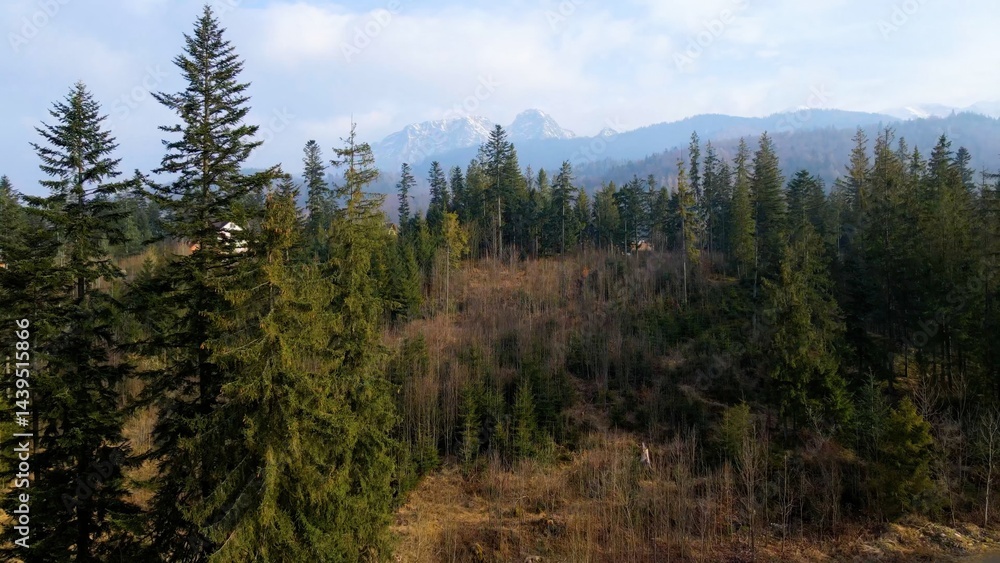 mountain top rocks view from above Zakopane Poland