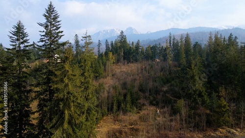 Obraz na płótnie mountain top rocks view from above Zakopane Poland w salonie