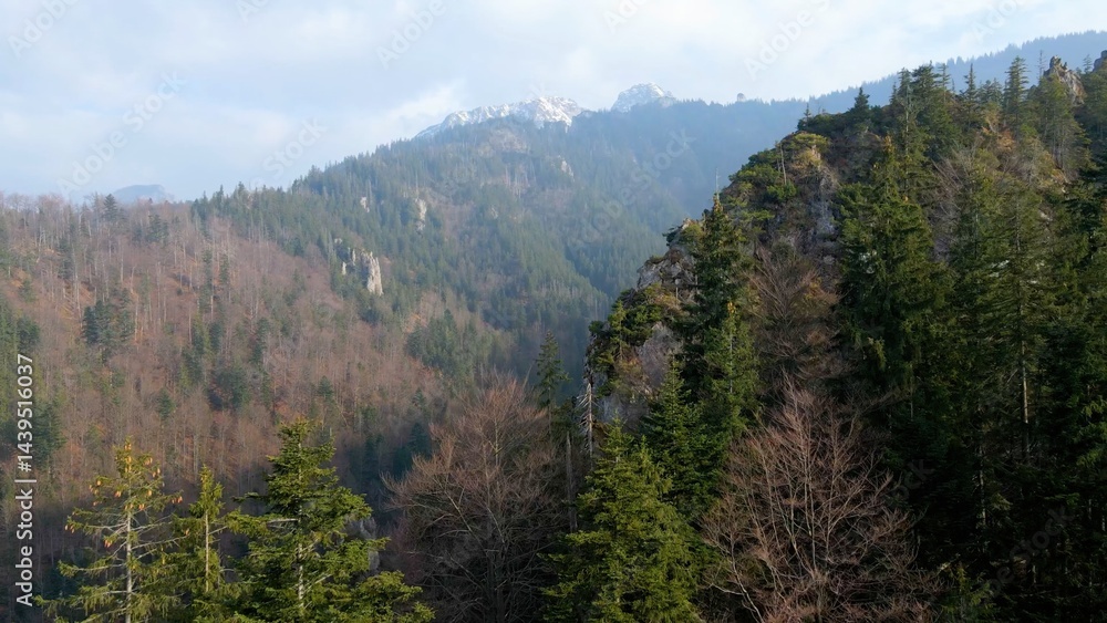 mountain top rocks view from above Zakopane Poland