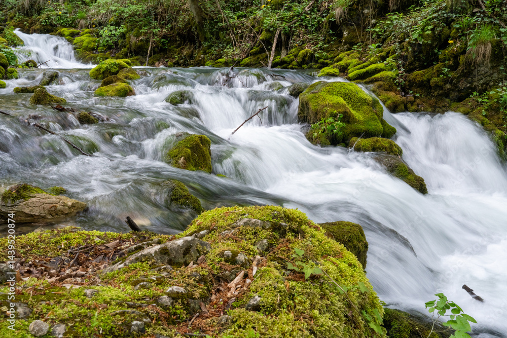 Obraz premium raging river in the forest