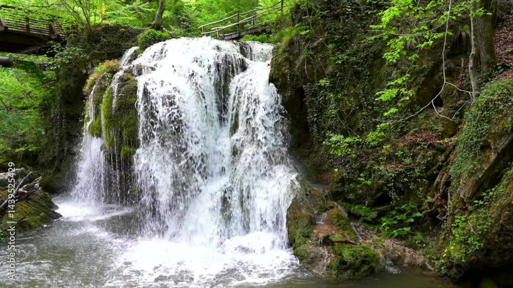 waterfall in the forest, 4k, slow motion waterfall in the forest, 4k, slow motion